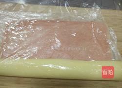 双色饼干的做法图解19