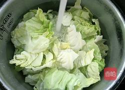 香辣手撕包菜的做法图解3