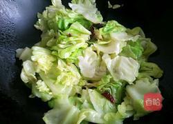 香辣手撕包菜的做法图解8