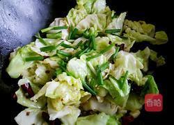 香辣手撕包菜的做法图解9