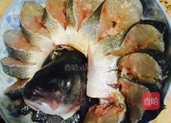 孔雀开屏的做法图解7