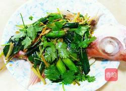 清蒸鲢鱼的做法图解4