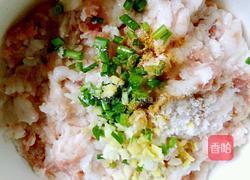 白萝卜鲜肉饺子（白萝卜可是美容的哦）的做法图解11