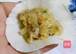 白萝卜鲜肉饺子（白萝卜可是美容的哦）的做法图解19