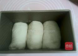 中种牛奶土司的做法图解10