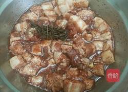 酒糟炖肉的做法图解4