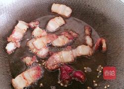 卷心菜炒五花肉的做法图解3
