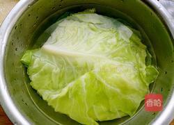 双丝包菜卷的做法图解3