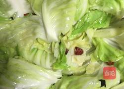 手撕包菜的做法图解5