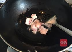 蚝油手撕卷心菜的做法图解4