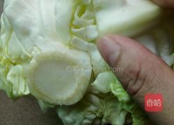 翡翠卷心菜包肉的做法图解10