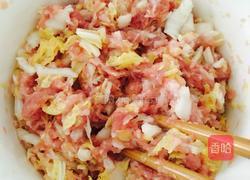 白菜肉饺的做法图解1