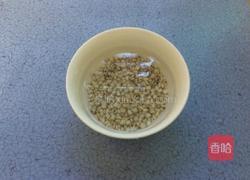薏米冬瓜汤的做法图解2