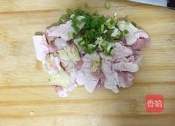 米饭小肉丸的做法图解2