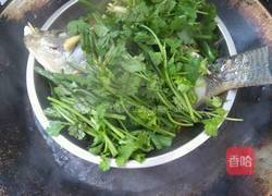 清蒸福寿鱼的做法图解4