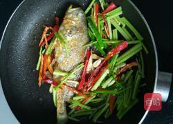 香煎黄瓜鱼的做法图解4