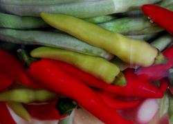 食材菜谱图