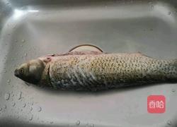 回锅鱼的做法图解1