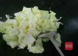 豆酱包菜的做法图解5