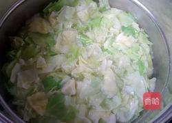 麻椒卷心菜的做法图解3