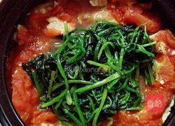 番茄豆腐煲的做法图解12