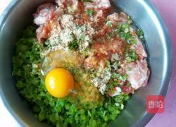 芹菜猪肉包子的做法图解9