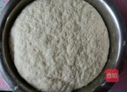 芹菜猪肉包子的做法图解11