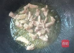 卷心菜炒荞麦面的做法图解6