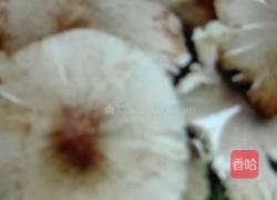 鸡枞油的做法图解1