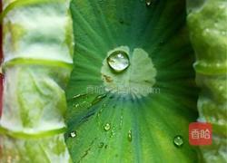 香煎嫩荷叶卷肉的做法图解3