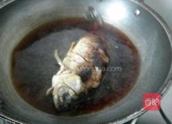 鲫鱼烧萝卜的做法图解5