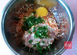 猪肉白萝卜蒸饺的做法图解10