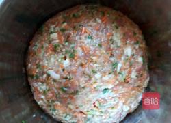 猪肉白萝卜蒸饺的做法图解11