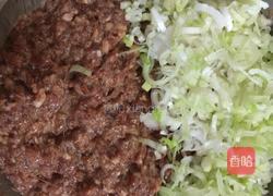 羊肉大葱肉饼的做法图解5