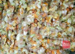 卷心菜胡萝卜猪肉水饺的做法图解7
