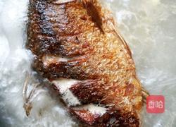 萝卜丝鲫鱼汤的做法图解6