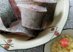 干煎鲢鱼块的做法图解1