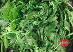 野笕菜盒子的做法图解2