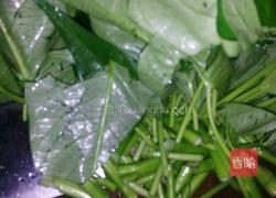 炒空心菜的做法图解3