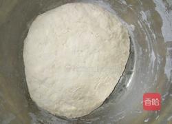 香菜肉饼的做法图解1