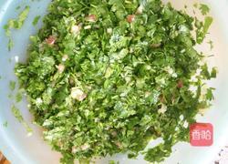 香菜肉饼的做法图解6