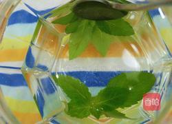 薄荷水果蜜的做法图解4