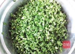 韭菜鸡蛋馅饺子的做法图解4