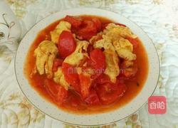 西红柿鸡蛋的做法图解7