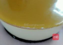 酸奶冻芝士的做法图解3