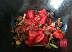 西红柿炖牛肉的做法图解7