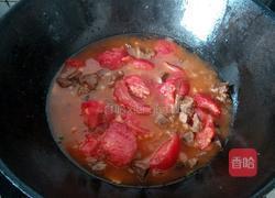 西红柿炖牛肉的做法图解8
