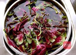 圣女果苋菜一口香的做法图解2