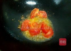 西红柿炖鱼块的做法图解9