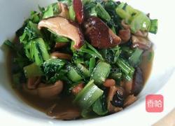 杏鲍菇汤白菜的做法图解9